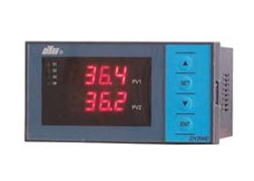 DY2000东辉大延DY21DE614M双屏电压表